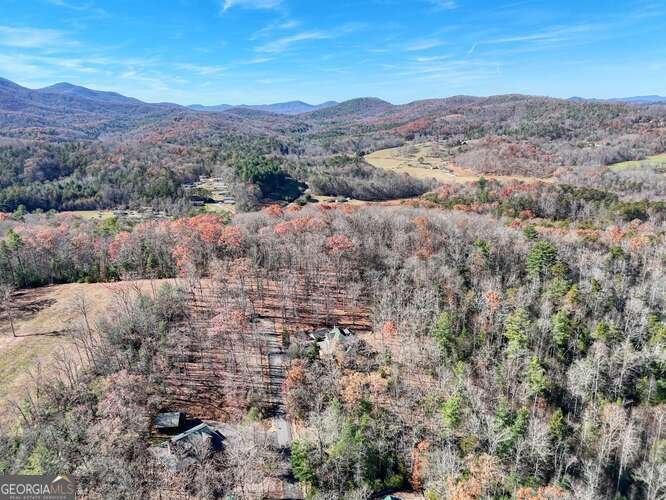 194 Forest Hill Drive Blairsville - 38