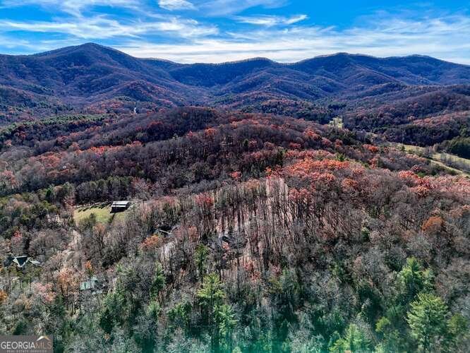 194 Forest Hill Drive Blairsville - 55