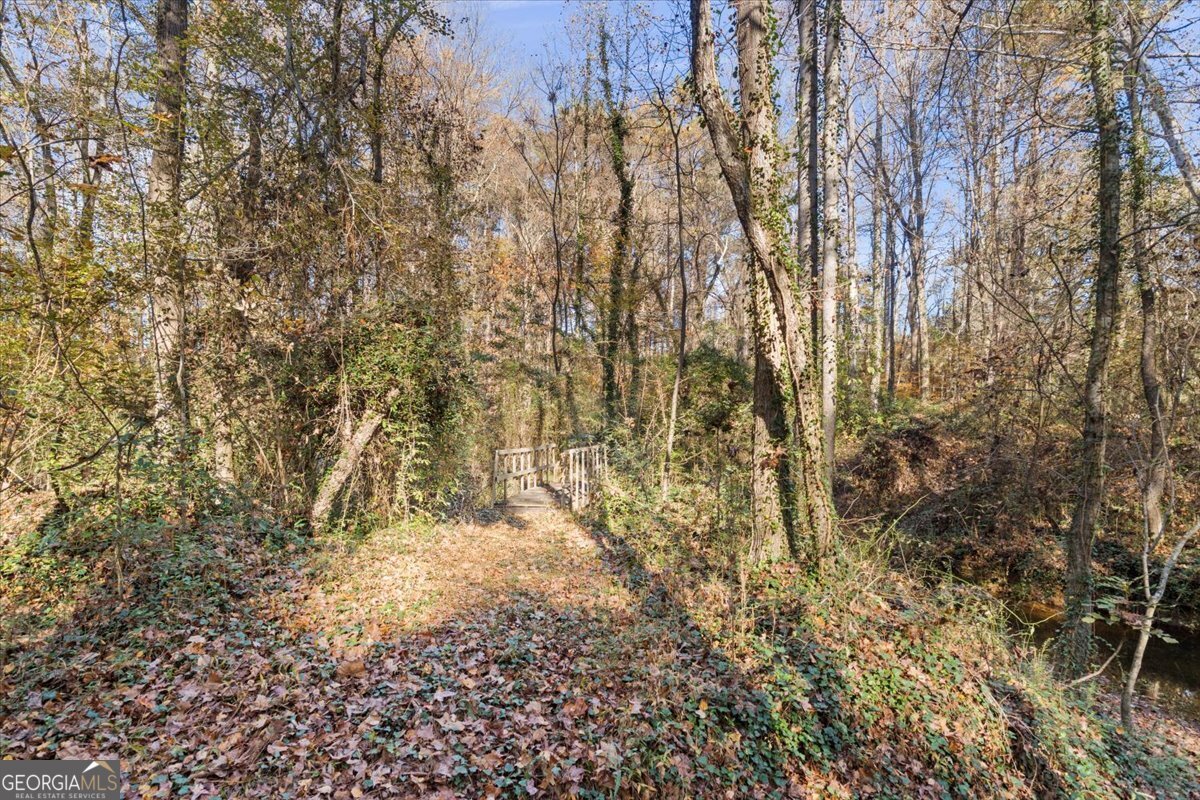 2737 Bethel Road Conyers - 23