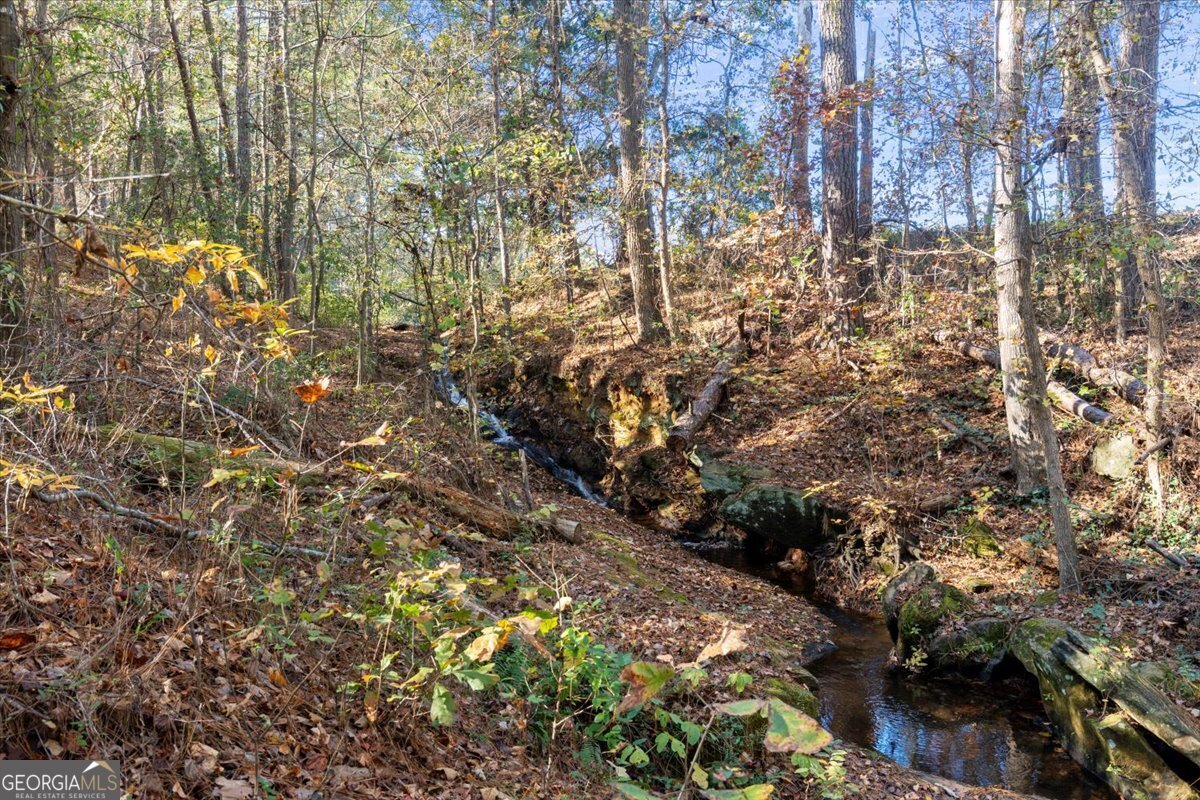 2737 Bethel Road Conyers - 24