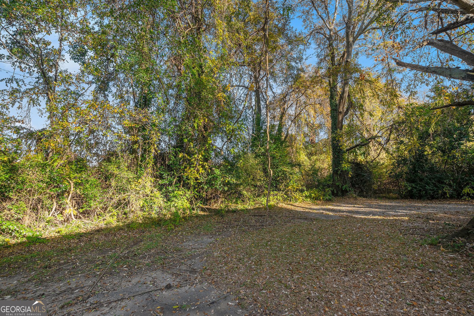 17 Wright Street Winder - 19