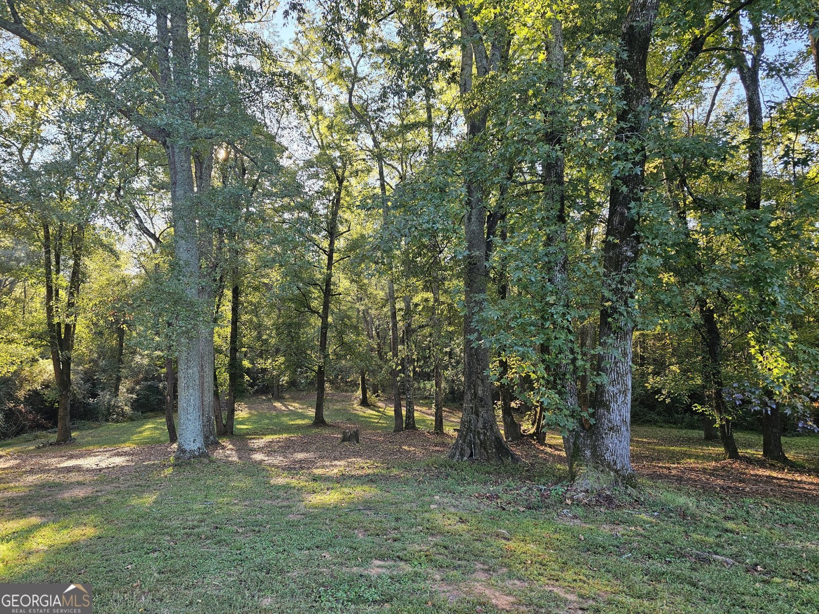 364 Centralhatchee Parkway Franklin - 34