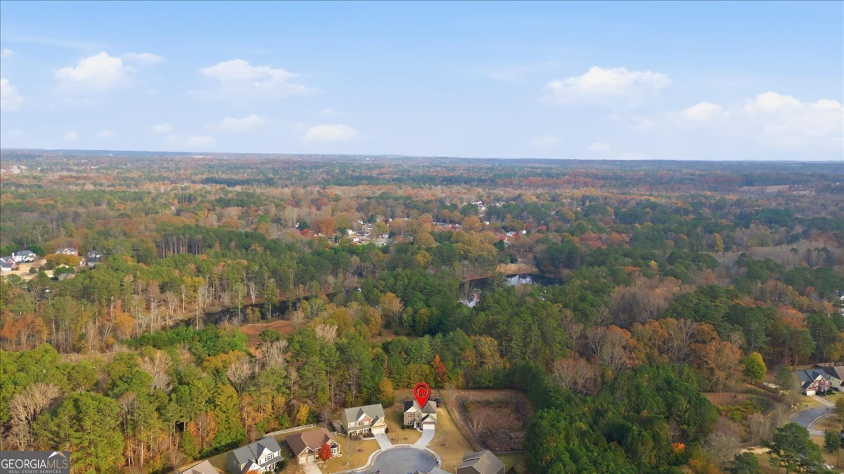 3532 Adams Landing Drive Powder Springs - 45