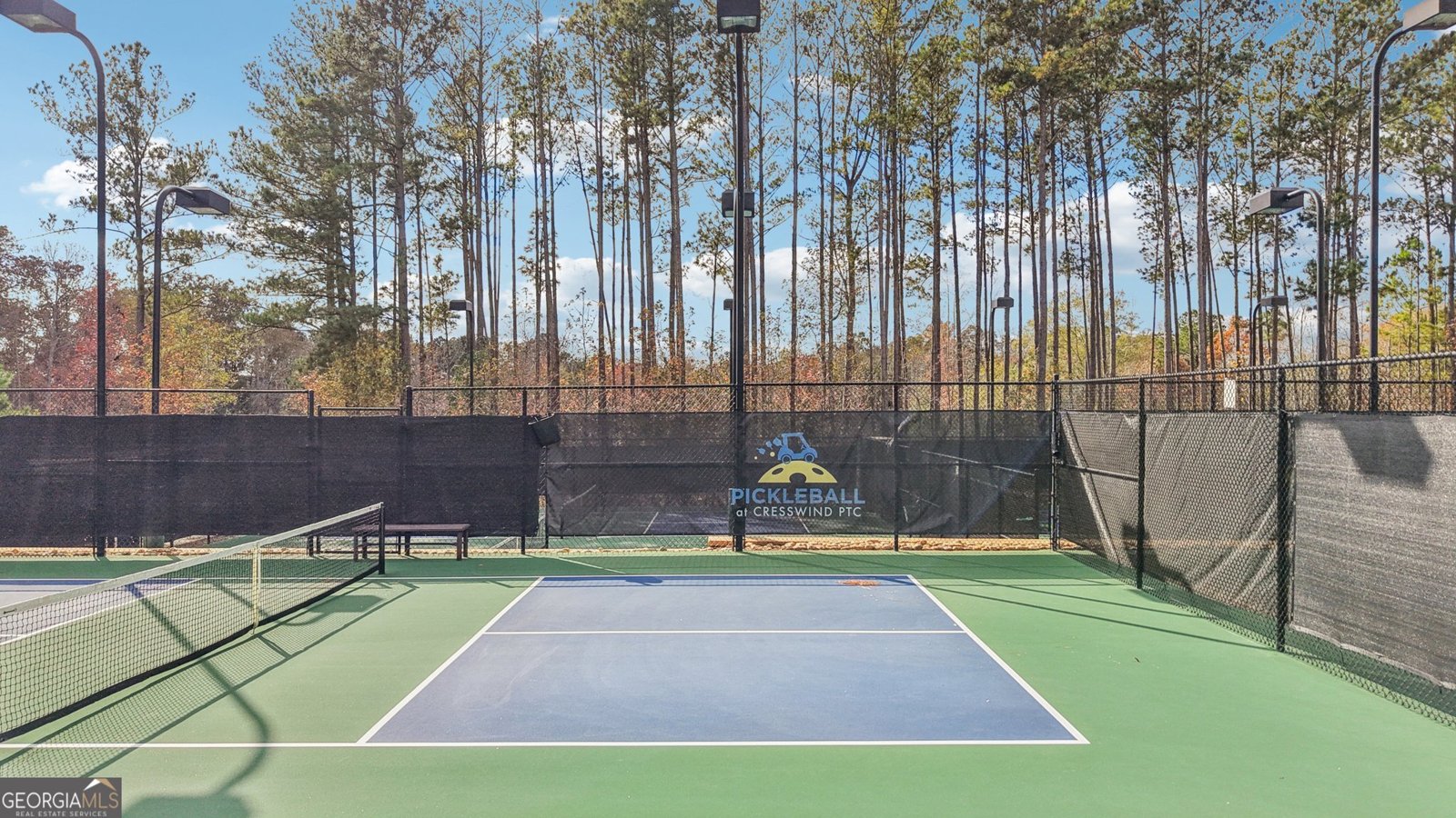 126 Mulberry Court Peachtree City - 33