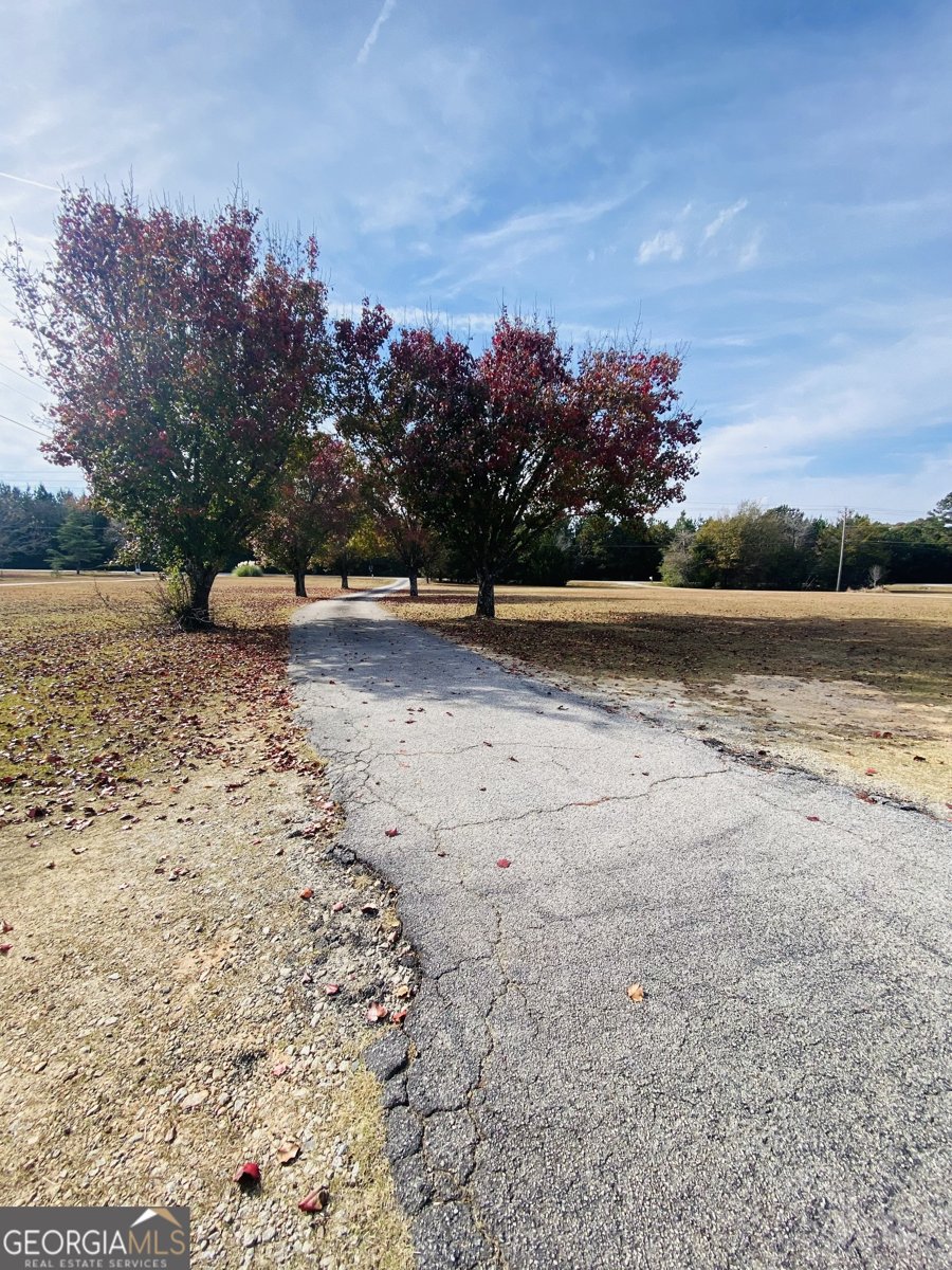 1974 Steele Road Griffin - 3