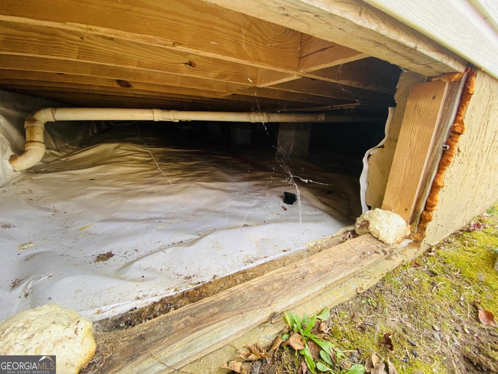 1974 Steele Road Griffin - 36