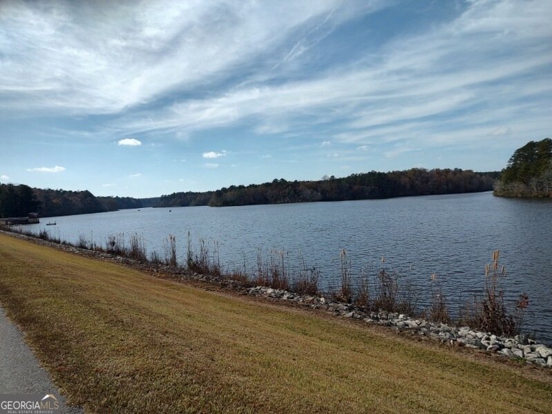 10291 White House Parkway Woodbury - Photo 43