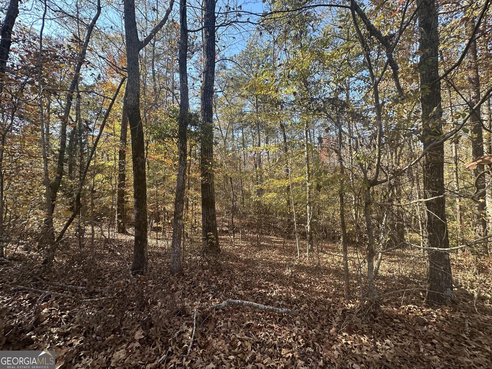 10291 whitehouse pkwy woodbury - 5