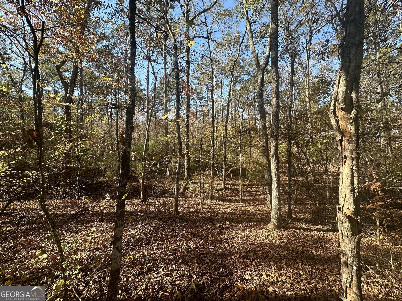 10291 whitehouse pkwy woodbury - 6