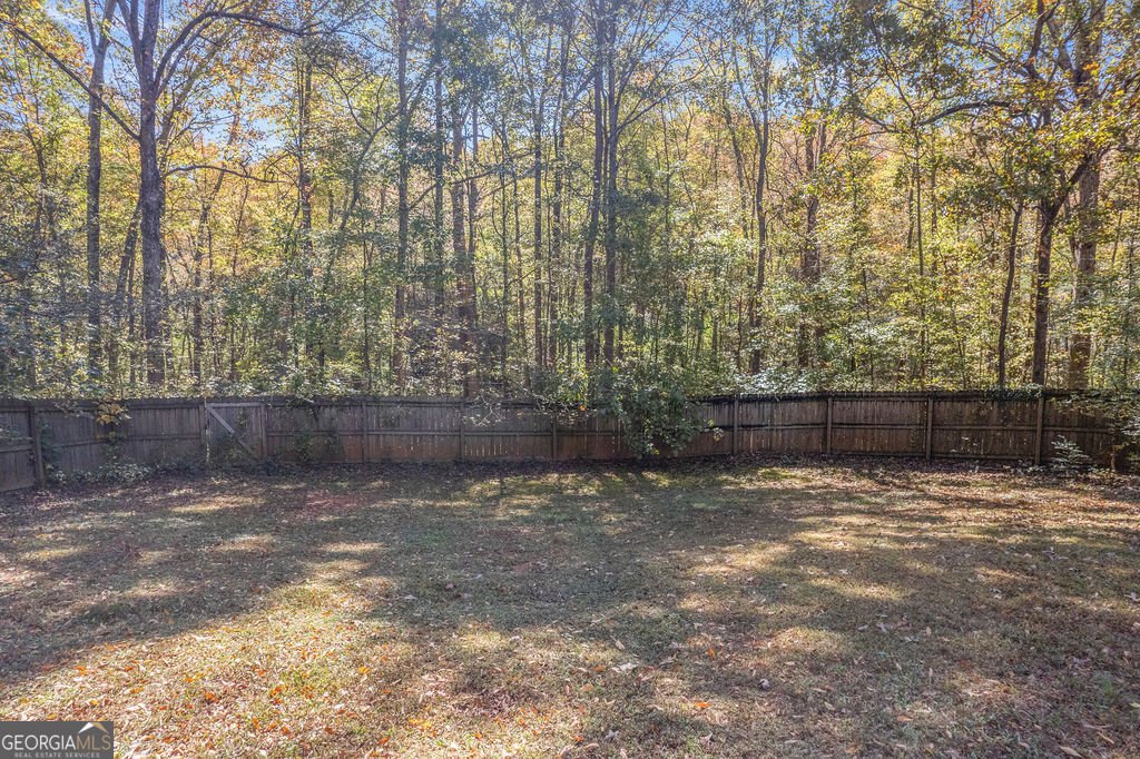 10 Monteray Court Sharpsburg - 61