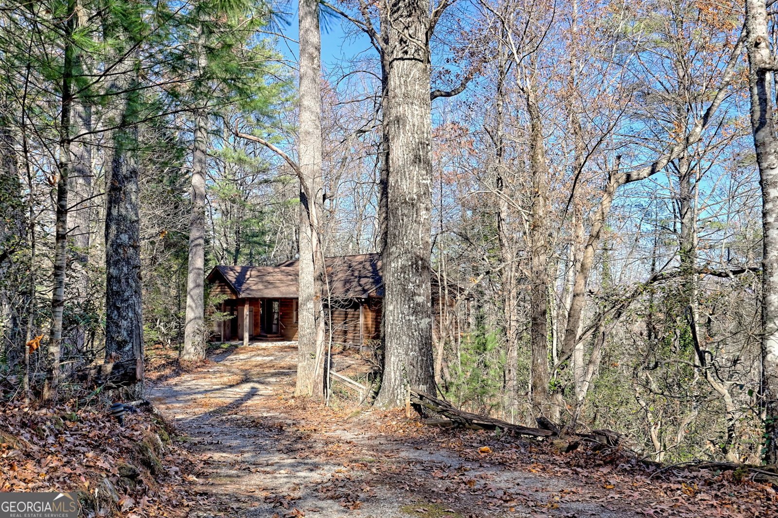 46 Clare Lane Rabun Gap - 5