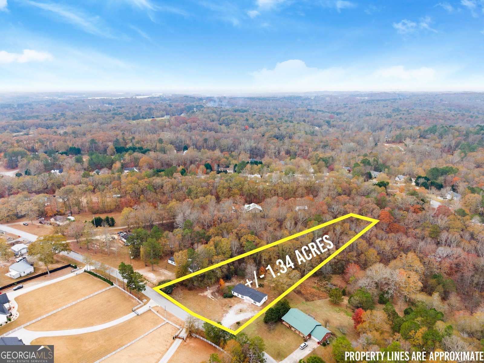 1384 Pocket Road Braselton - 42