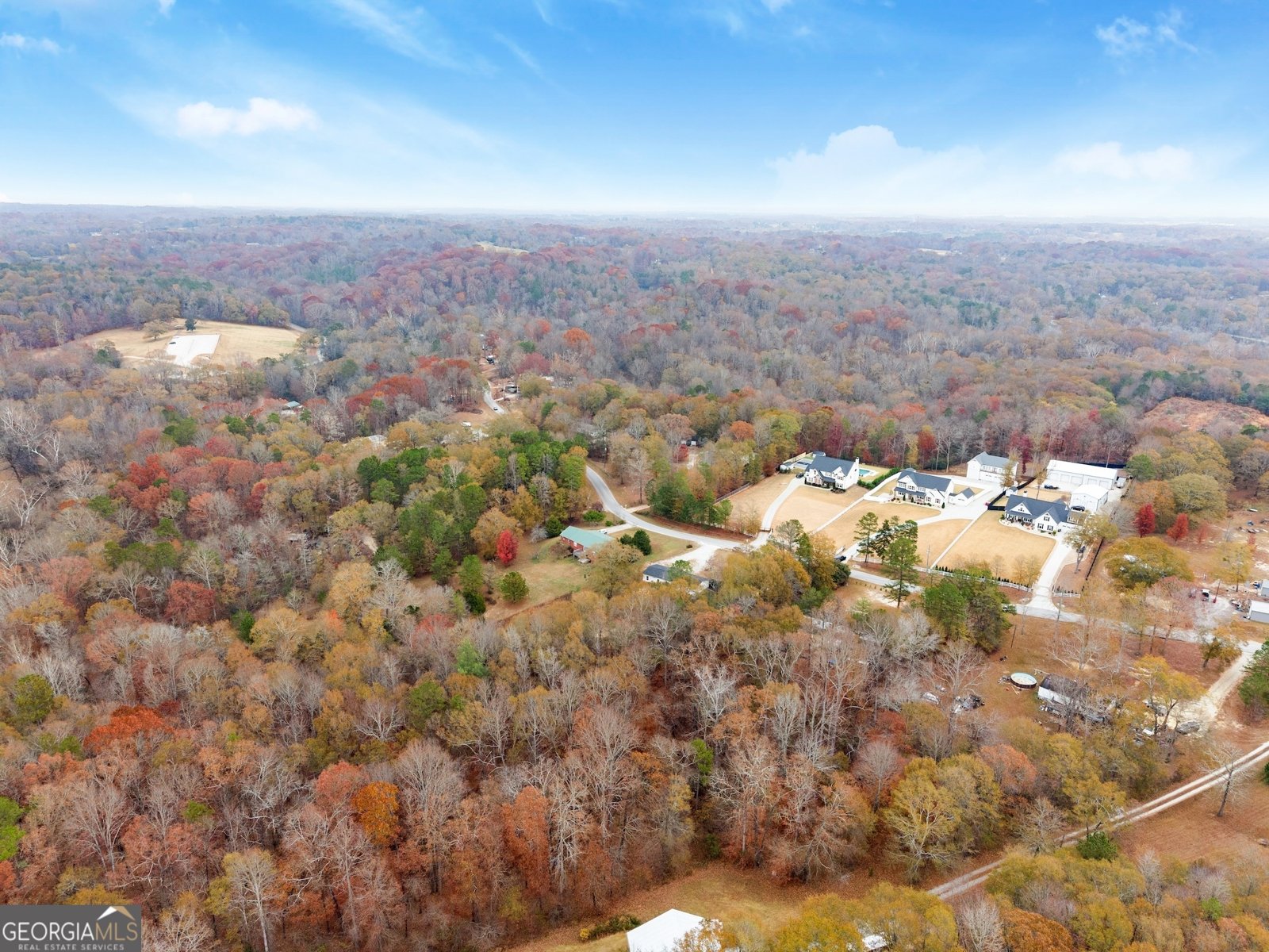 1384 Pocket Road Braselton - 45