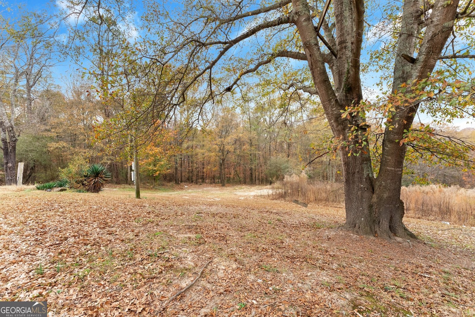 1384 Pocket Road Braselton - 46