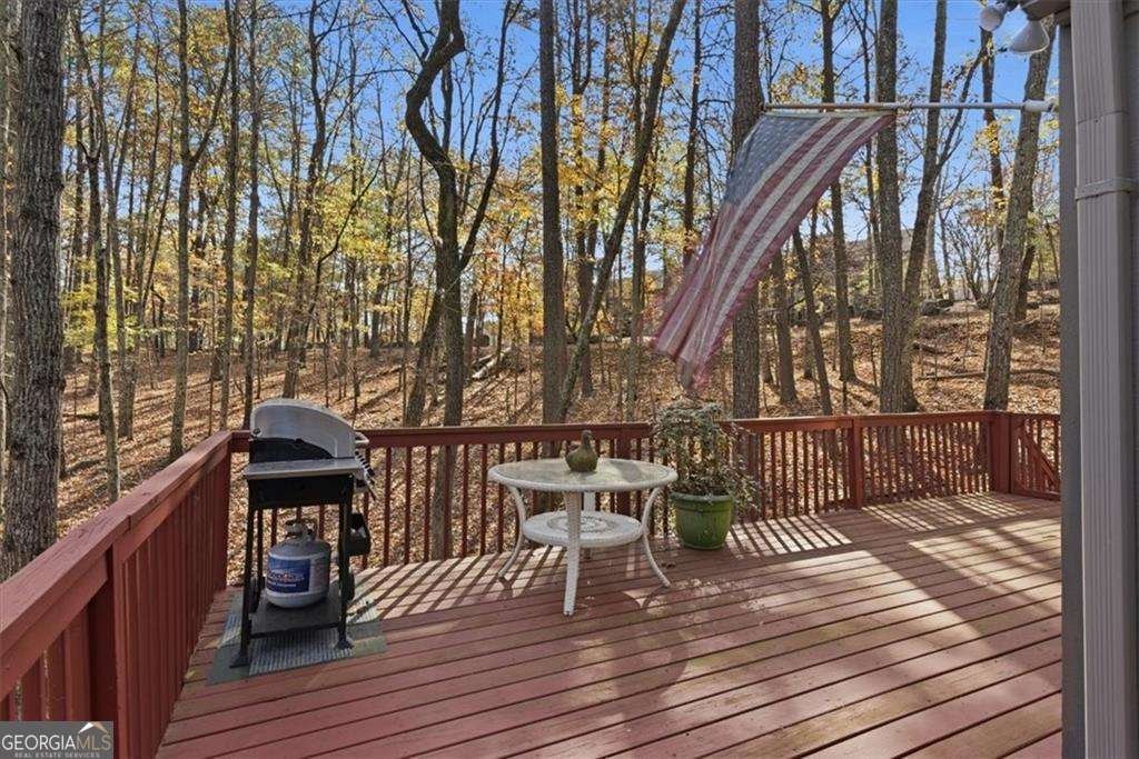 106 Lake Cottages Court Waleska - 28