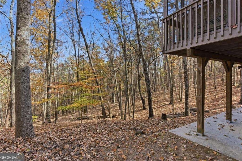 106 Lake Cottages Court Waleska - 31