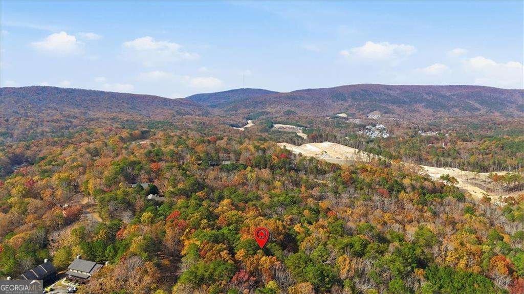 106 Lake Cottages Court Waleska - 36