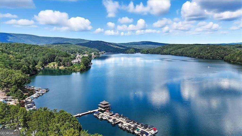 106 Lake Cottages Court Waleska - 50