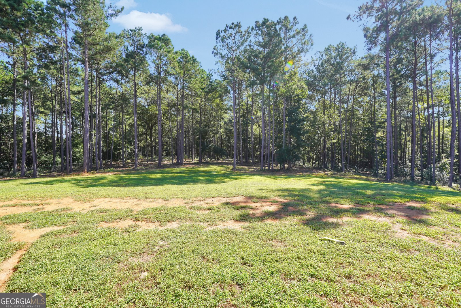 787 Silver Dollar Road Milner - 21