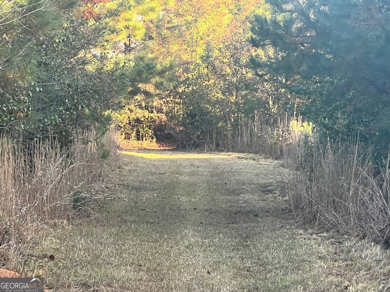 125 Karen Drive McDonough - 11