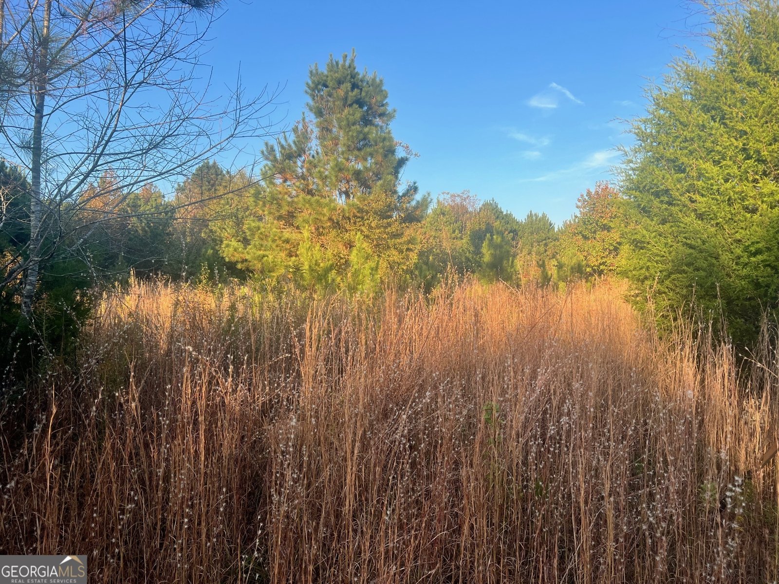 125 Karen Drive McDonough - 12