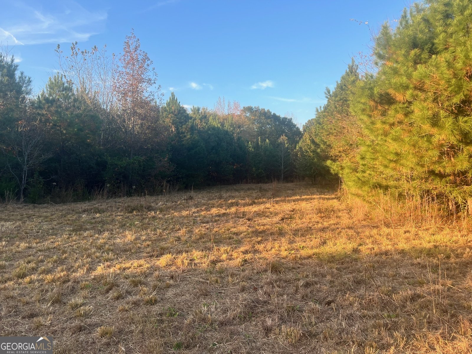 125 Karen Drive McDonough - 13