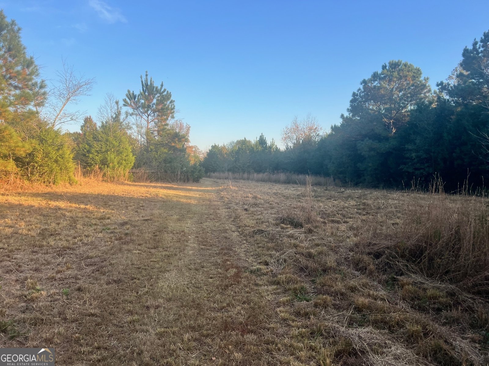 125 Karen Drive McDonough - 14