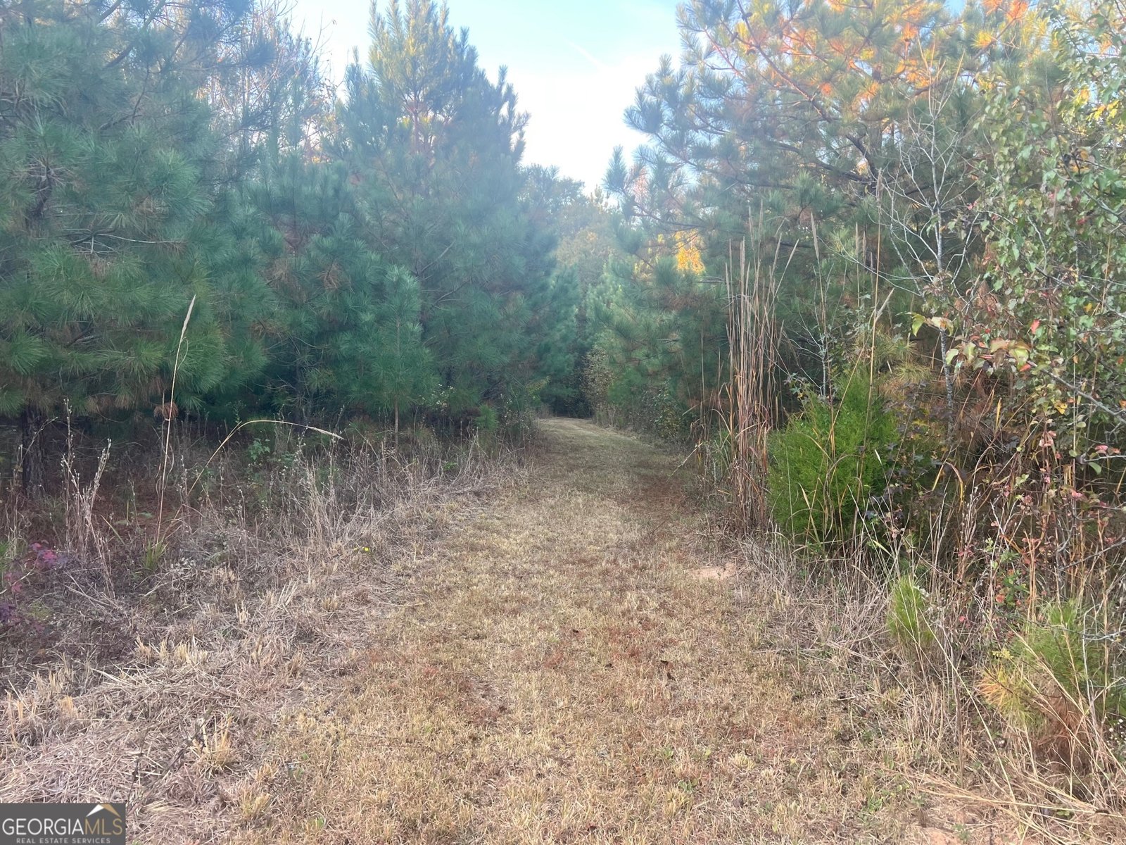 125 Karen Drive McDonough - 16