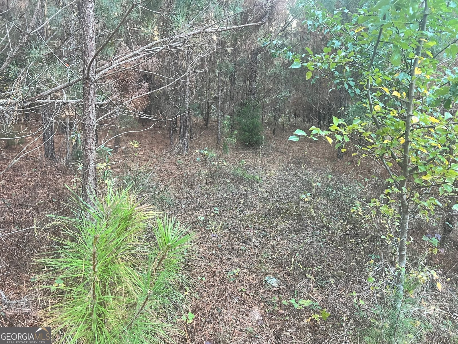 125 Karen Drive McDonough - 17