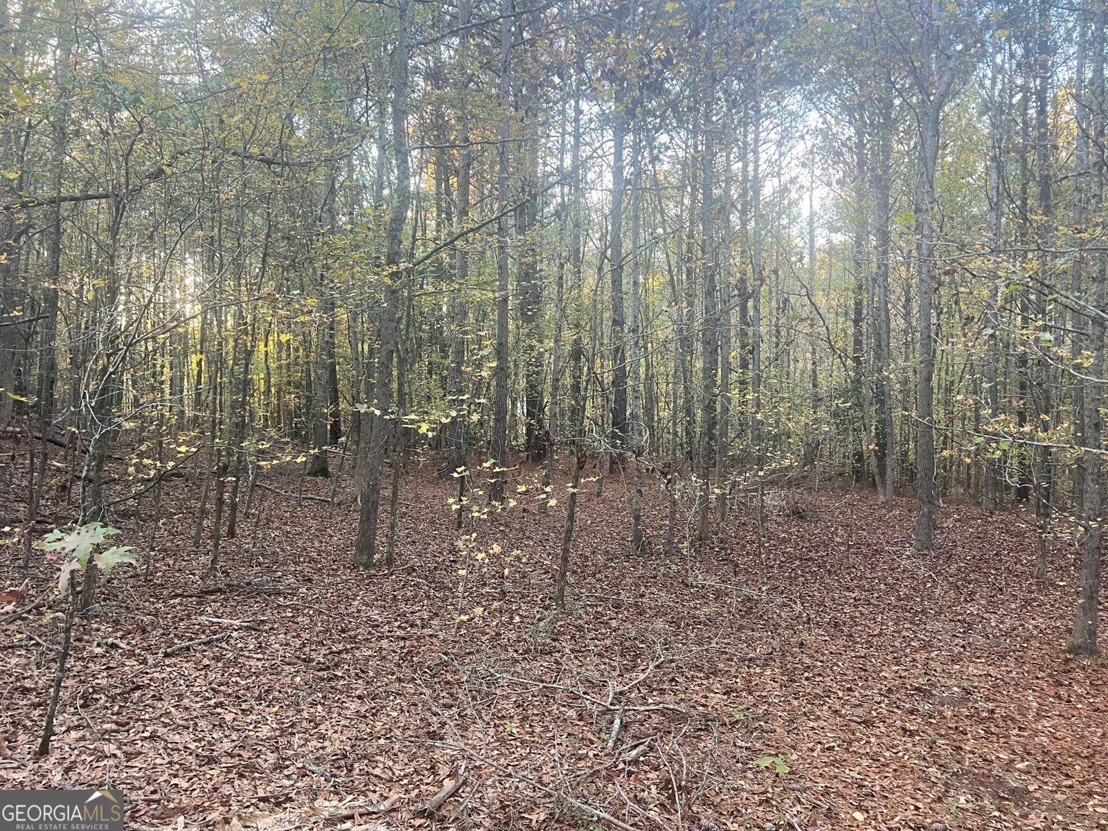 125 Karen Drive McDonough - 18