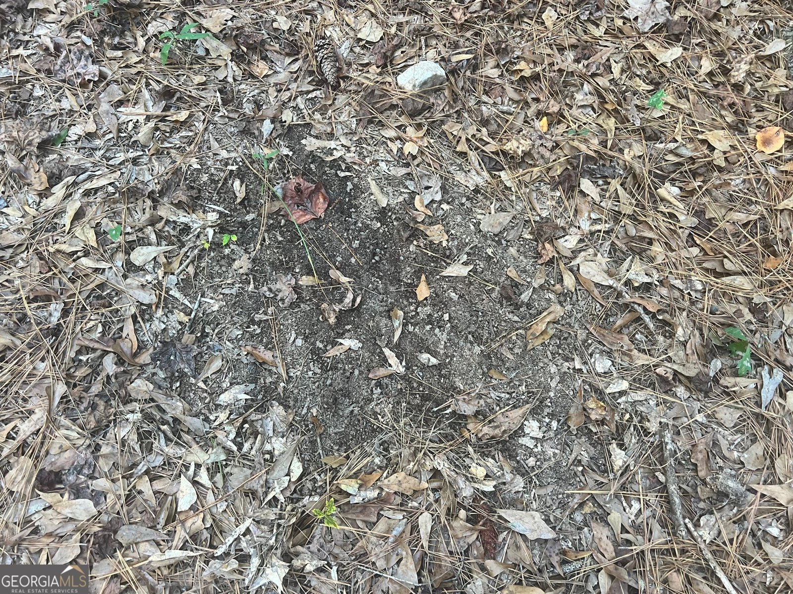 125 Karen Drive McDonough - 19