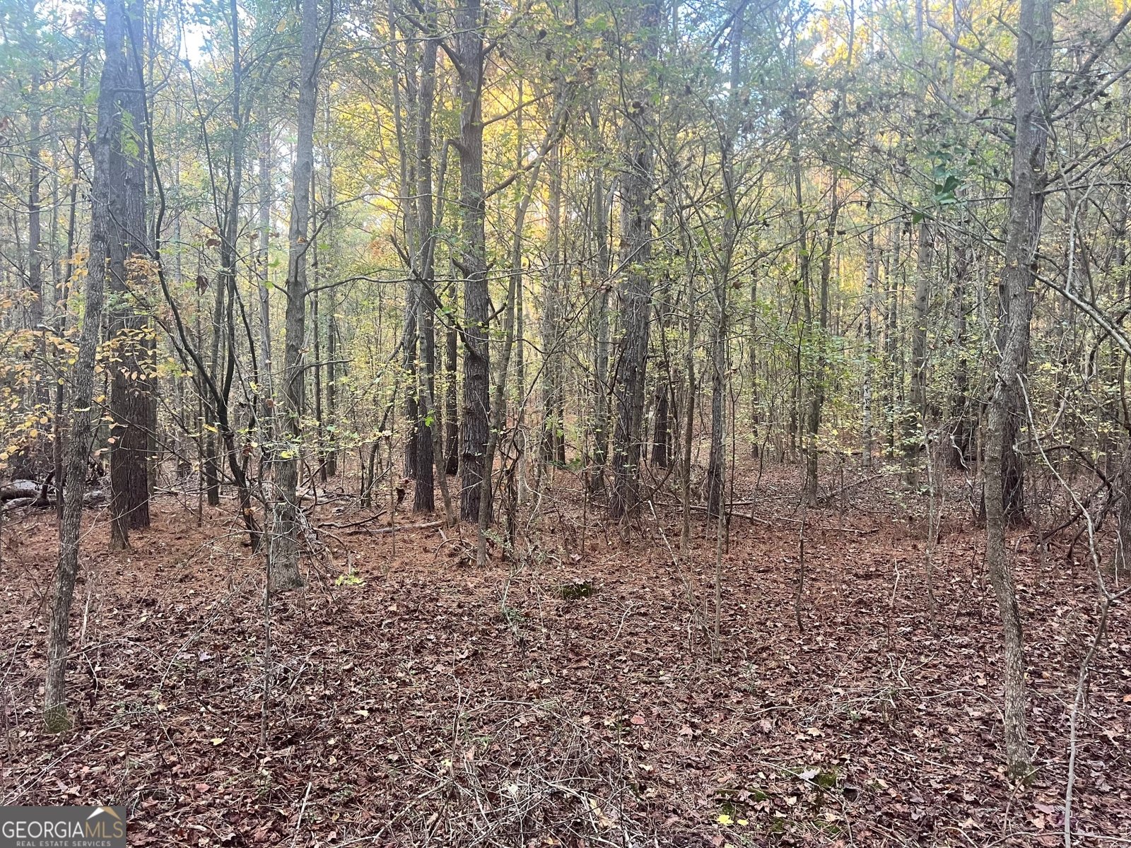 125 Karen Drive McDonough - 20