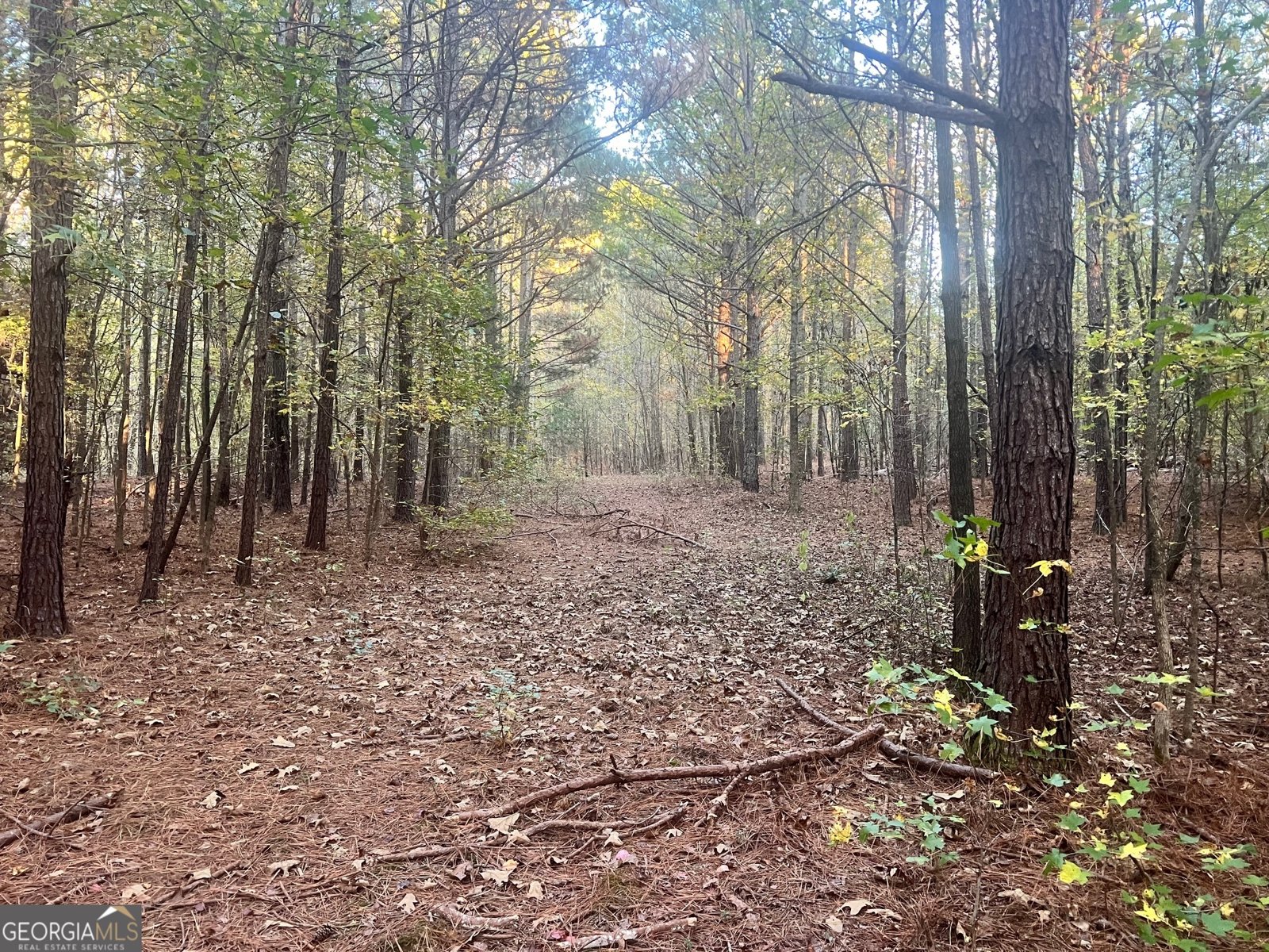 125 Karen Drive McDonough - 22