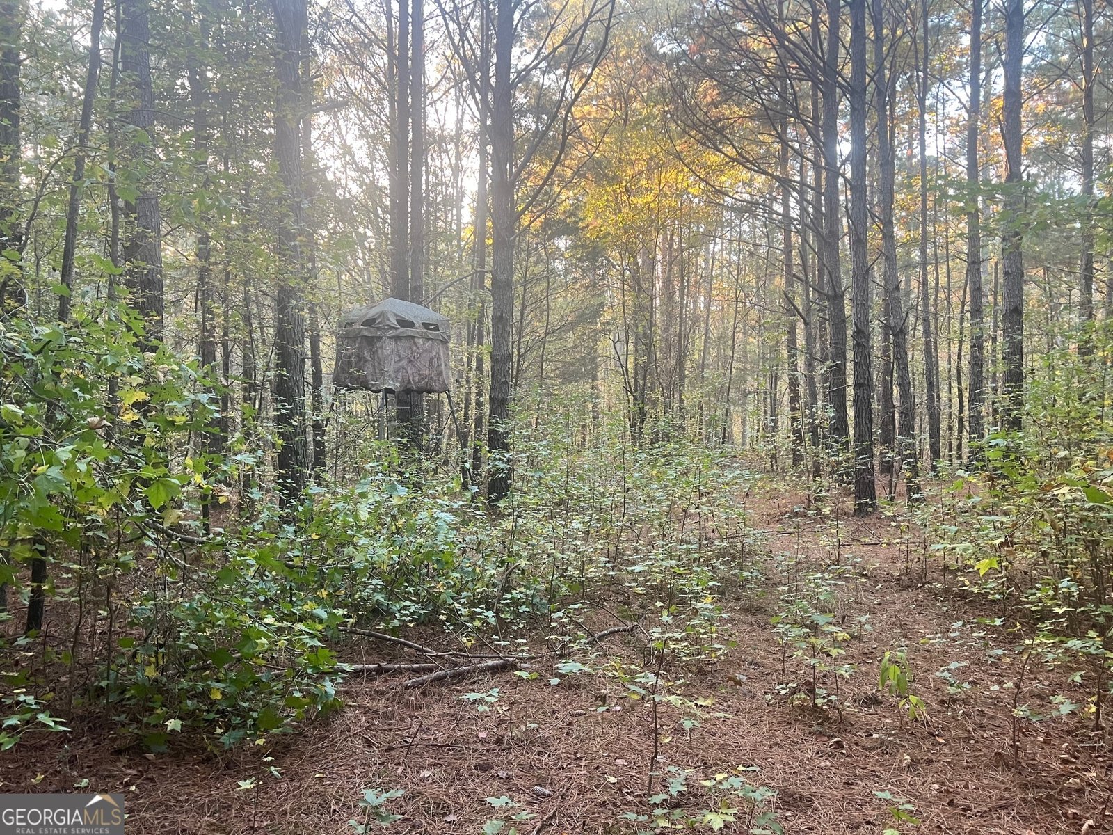 125 Karen Drive McDonough - 23