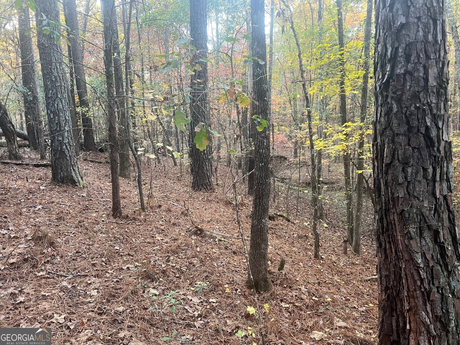 125 Karen Drive McDonough - 25