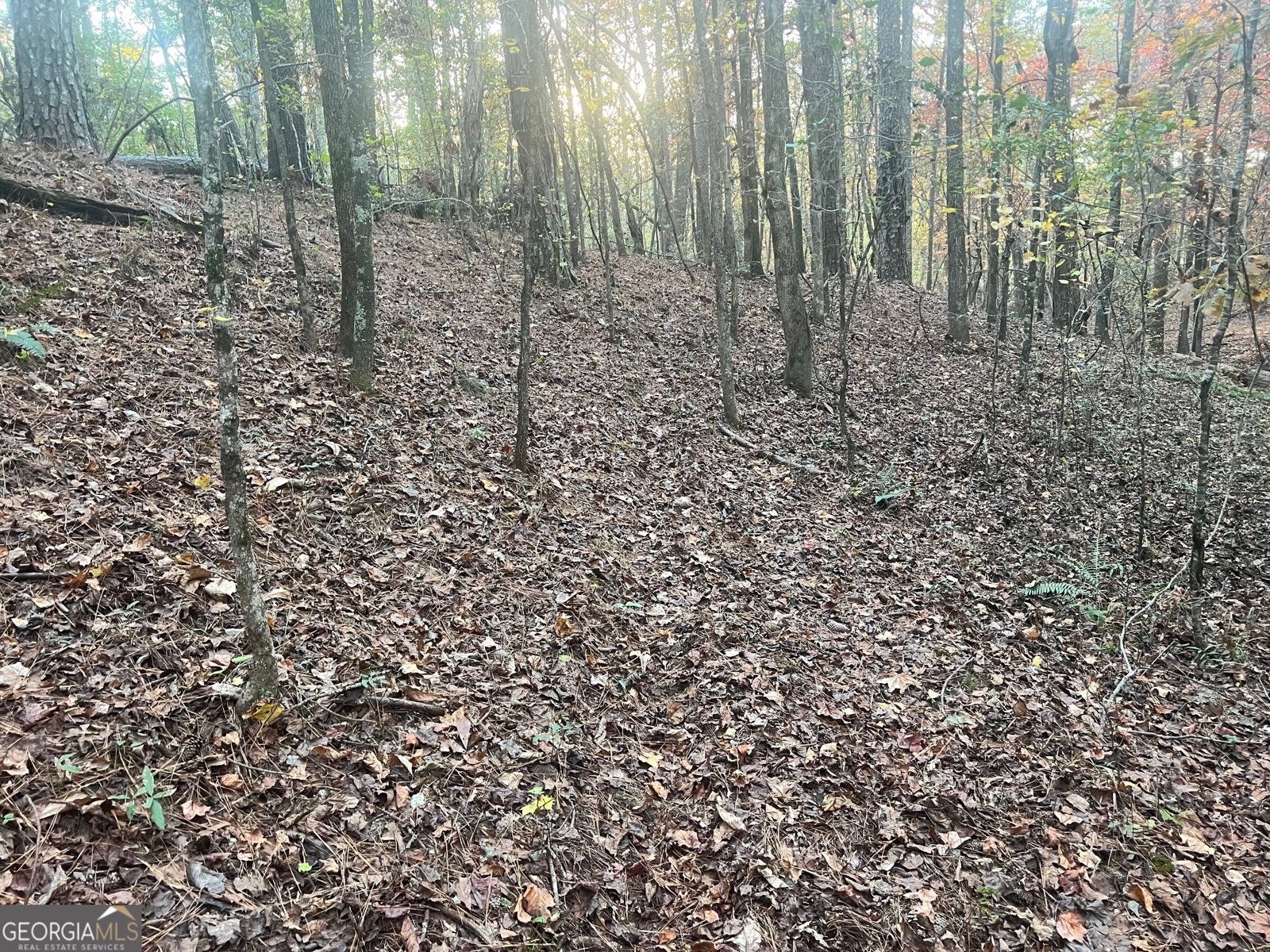 125 Karen Drive McDonough - 28