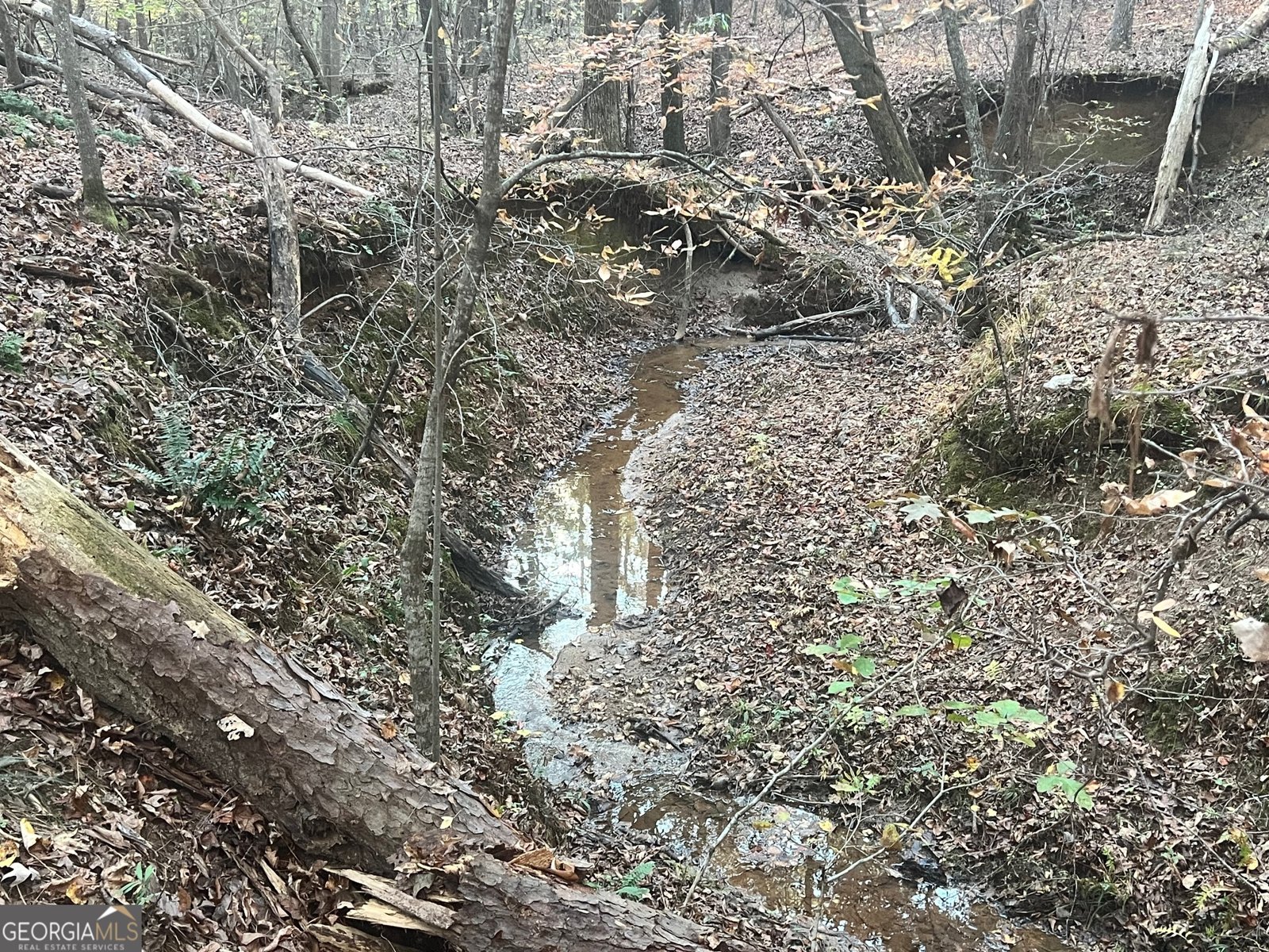 125 Karen Drive McDonough - 29