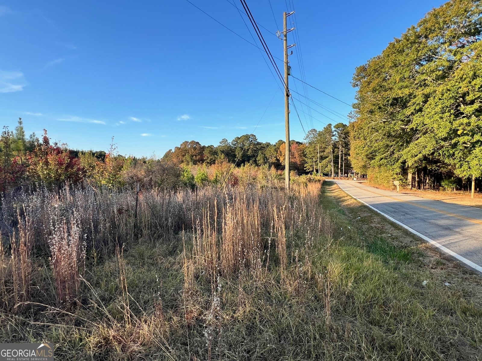 125 Karen Drive McDonough - 3