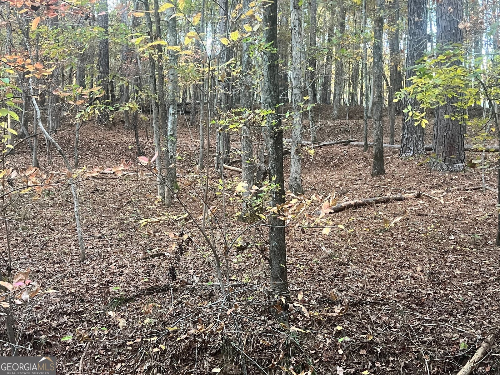 125 Karen Drive McDonough - 32