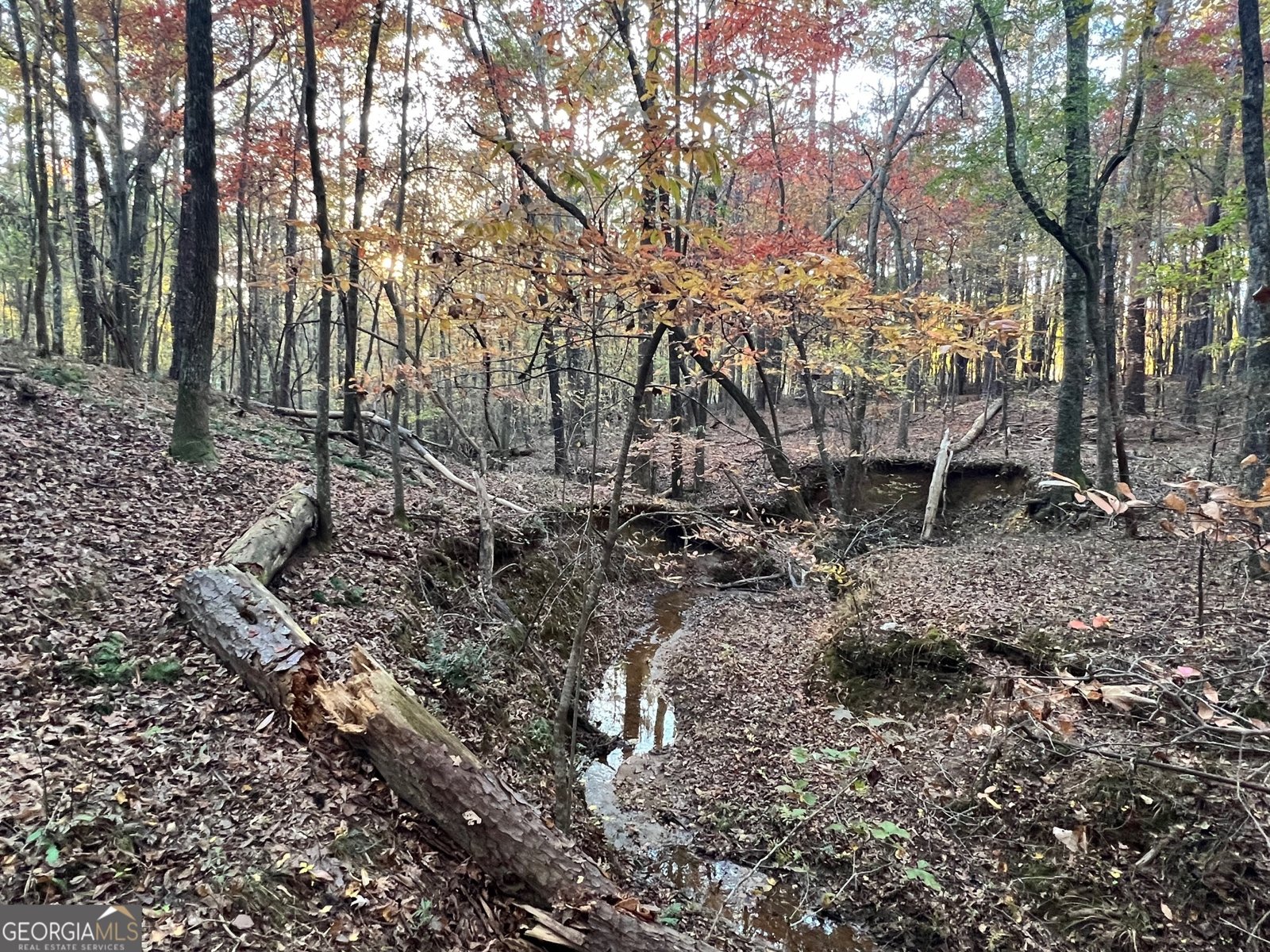 125 Karen Drive McDonough - 33