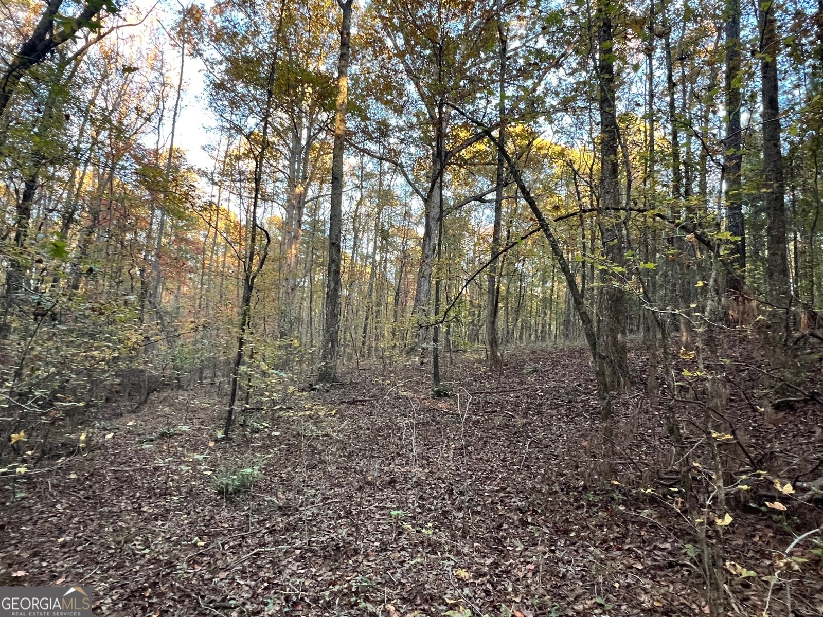 125 Karen Drive McDonough - 34