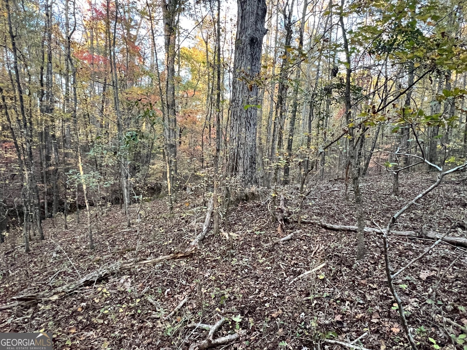 125 Karen Drive McDonough - 36