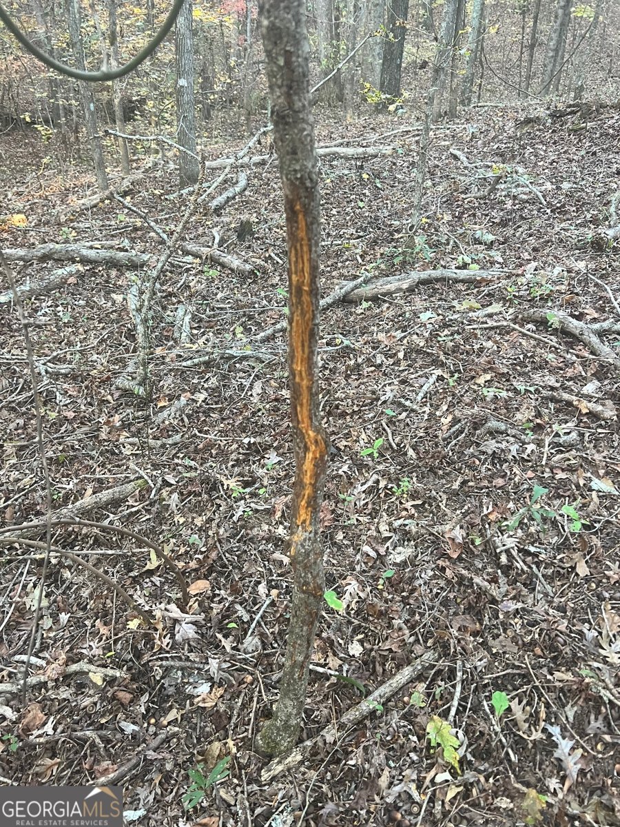 125 Karen Drive McDonough - 37