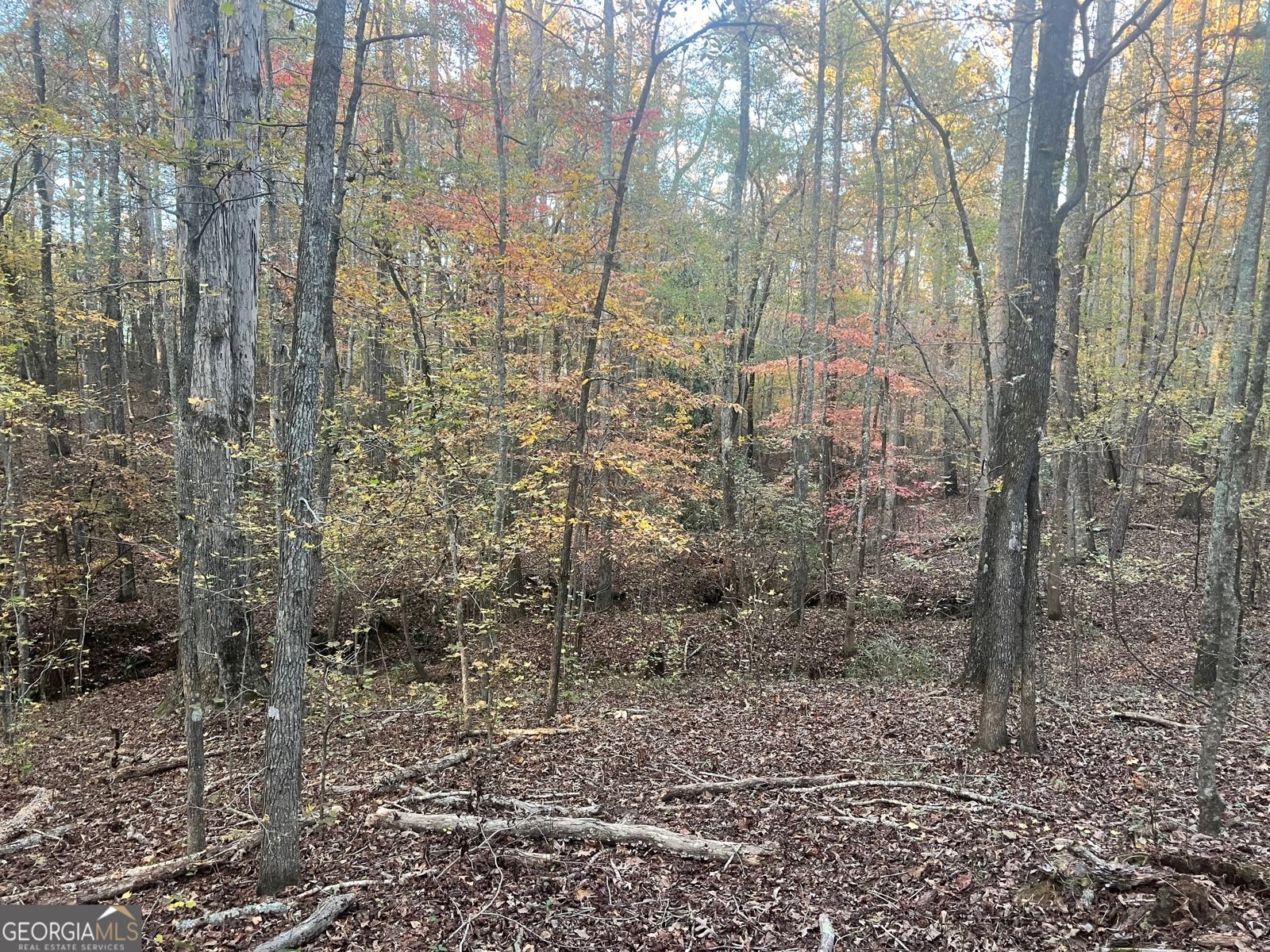 125 Karen Drive McDonough - 38