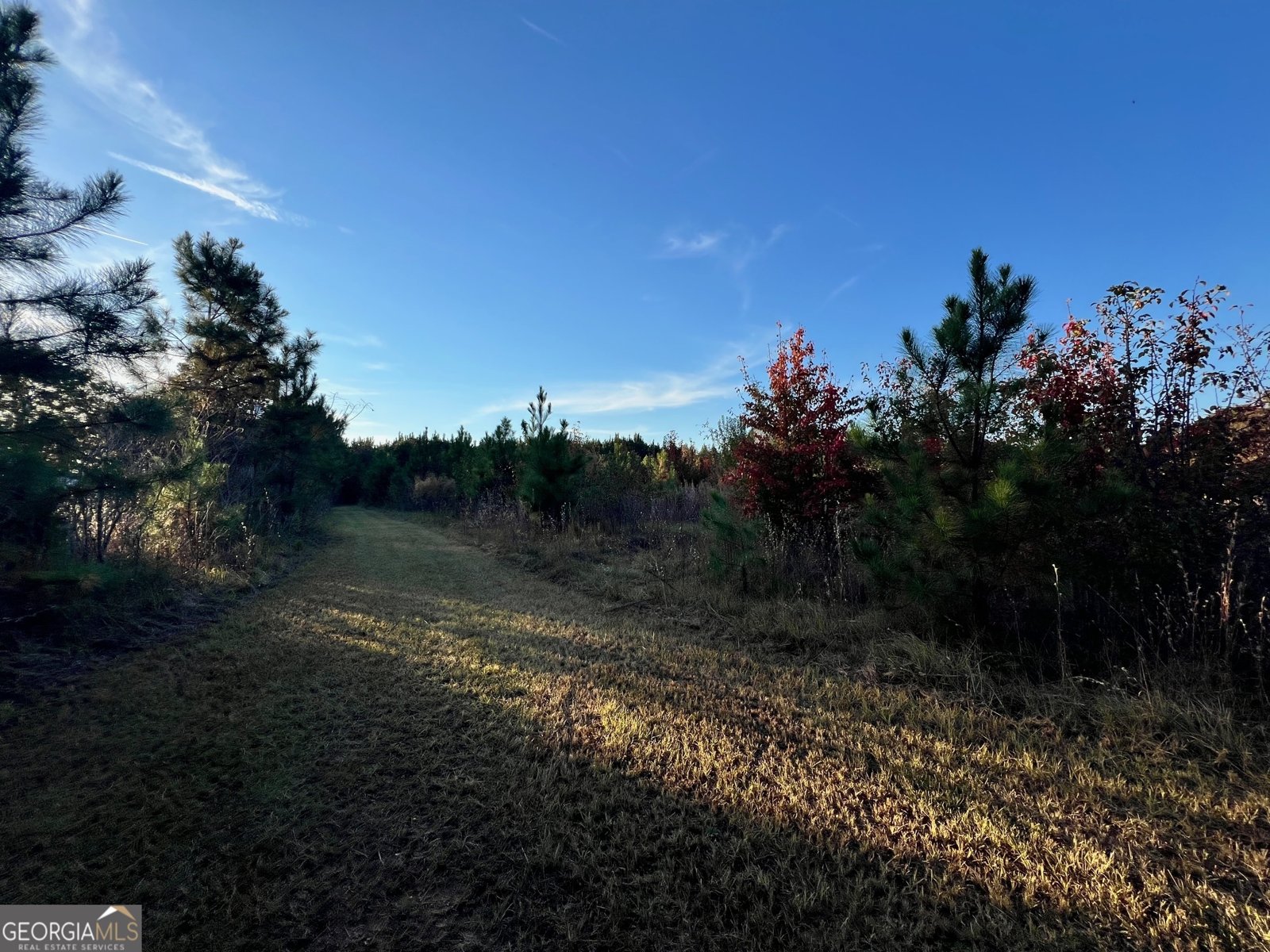 125 Karen Drive McDonough - 4