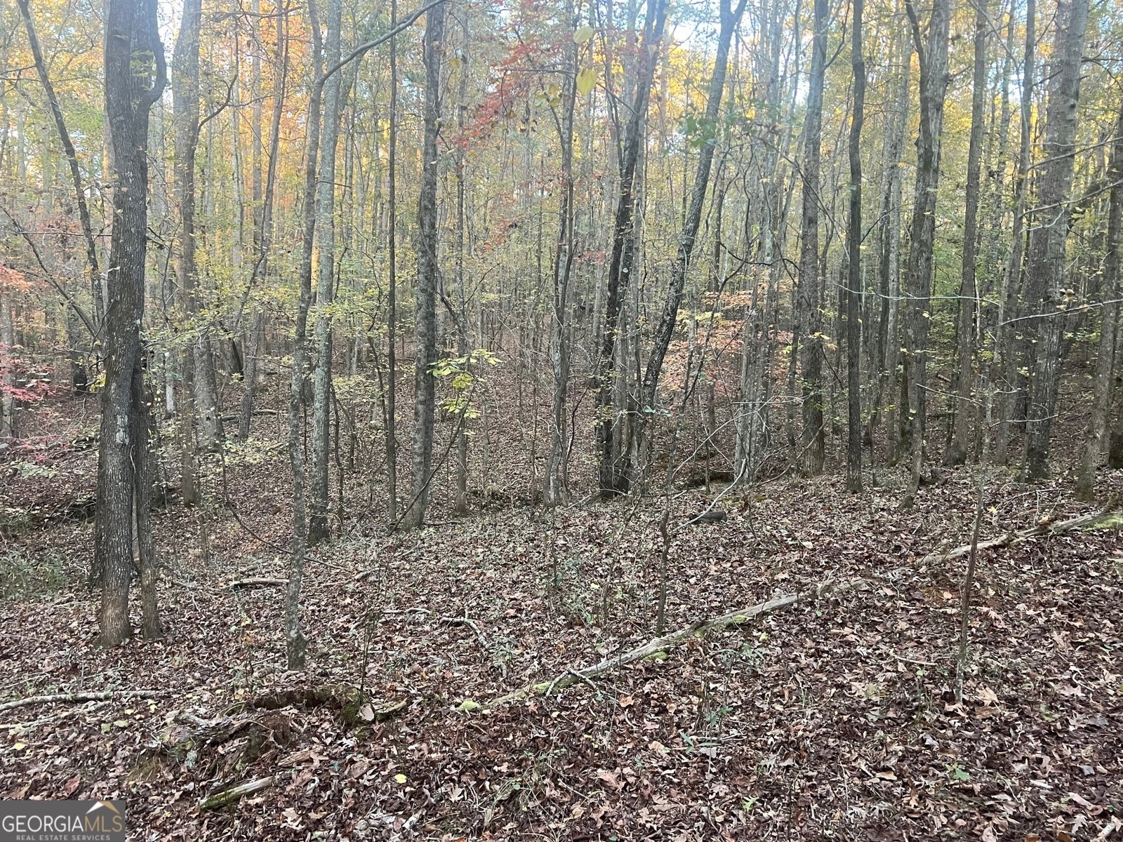 125 Karen Drive McDonough - 40