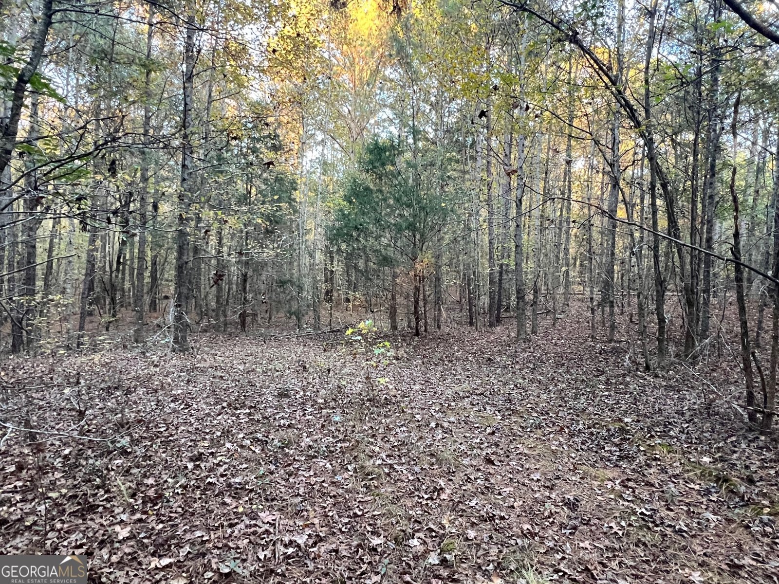 125 Karen Drive McDonough - 41