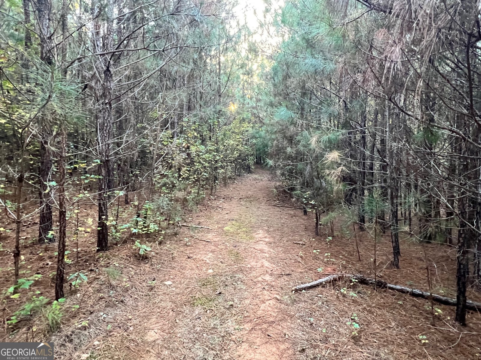 125 Karen Drive McDonough - 44