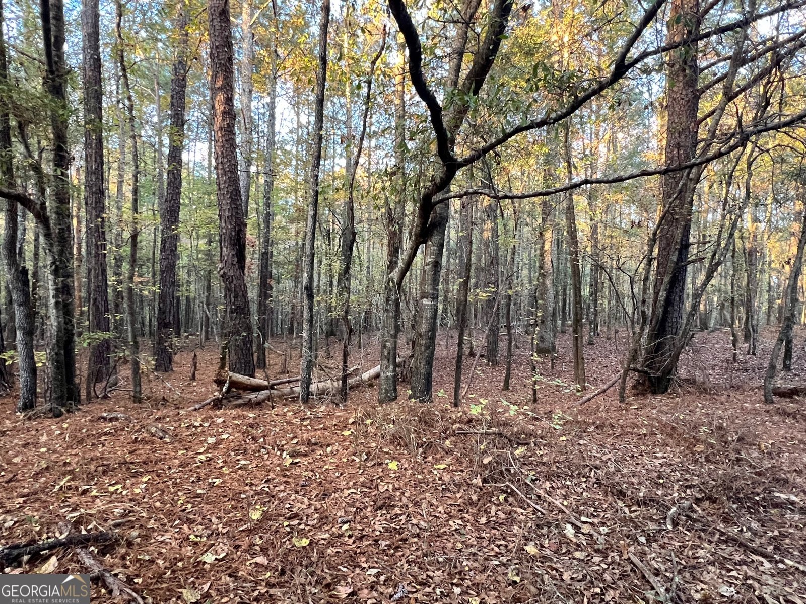 125 Karen Drive McDonough - 45