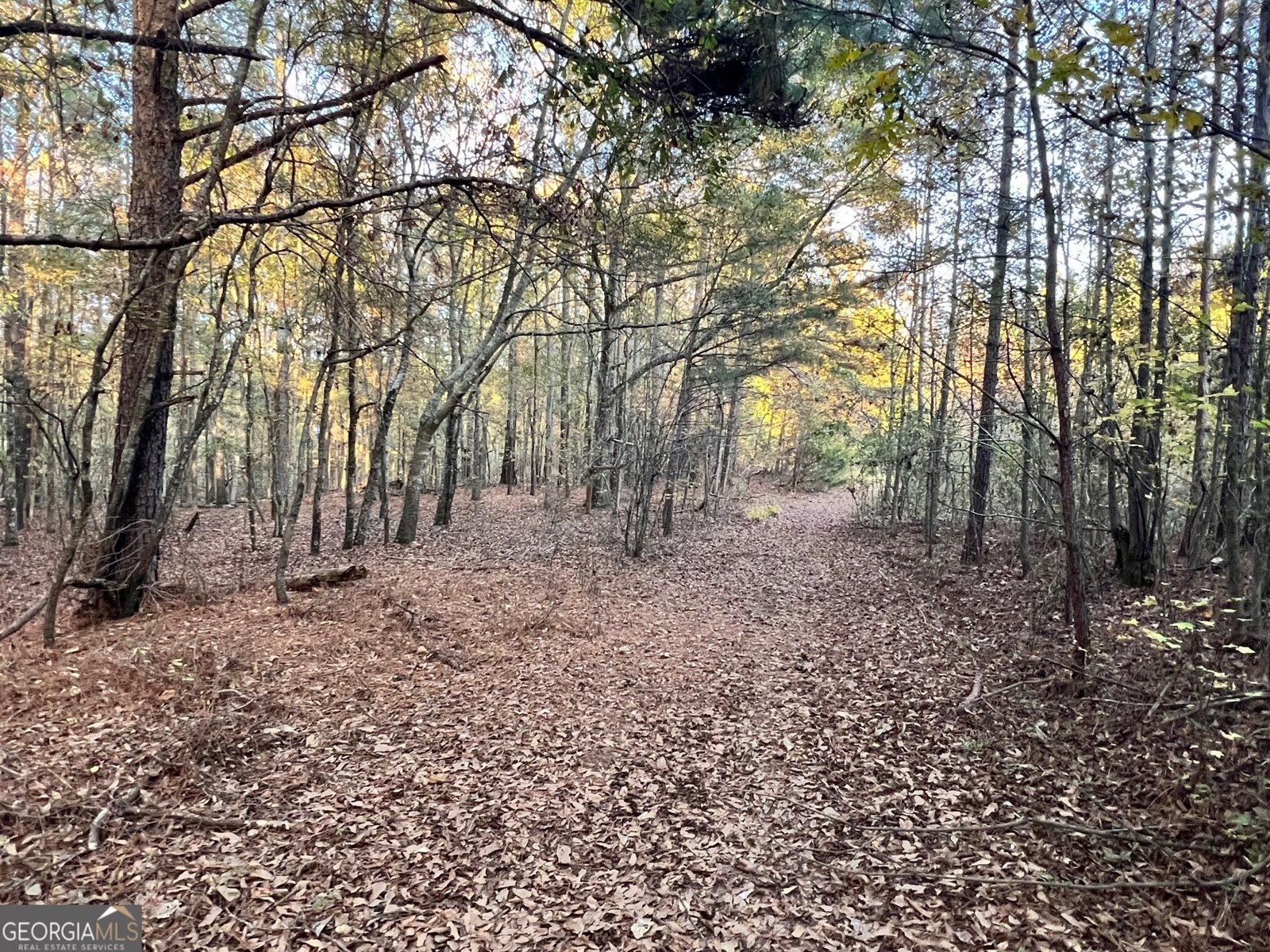 125 Karen Drive McDonough - 46